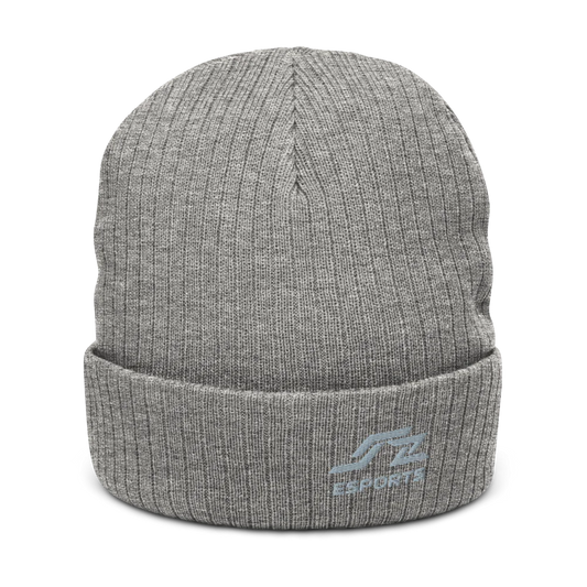 Speedzone E-Sport Beanie Gray Logo