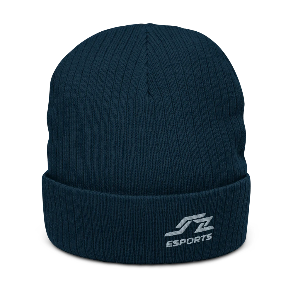 Speedzone E-Sport Beanie Gray Logo