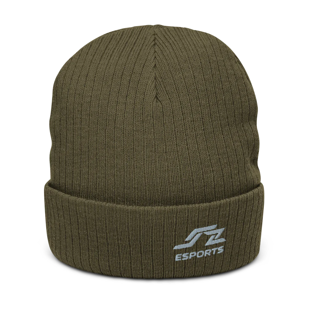 Speedzone E-Sport Beanie Gray Logo