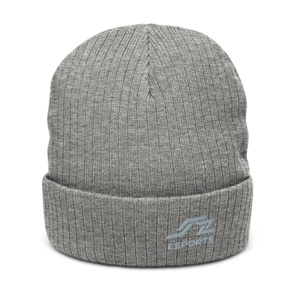 Speedzone E-Sport Beanie Gray Logo